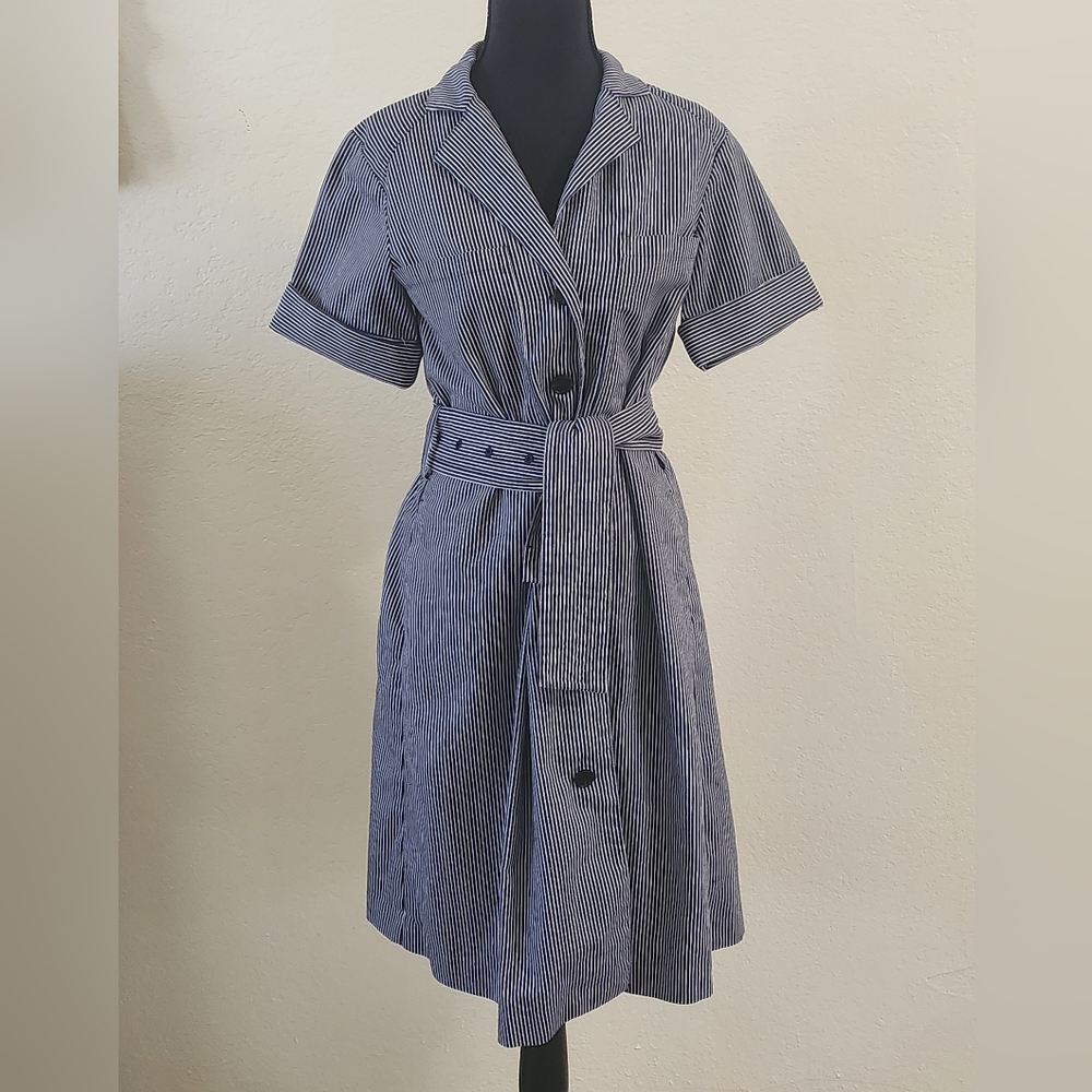 Adam Lippes Striped Blue and White Button-Up Dress